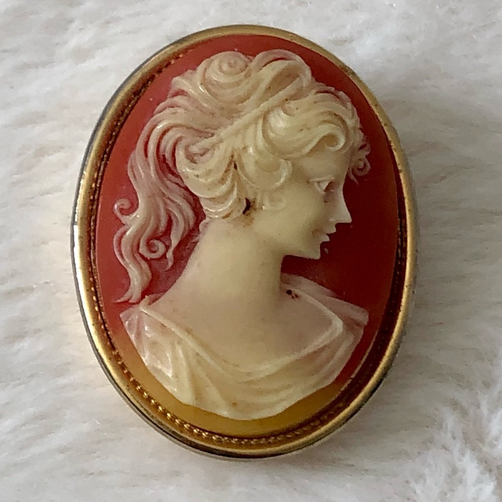 1970’s Cameo Locket Pin Brooch